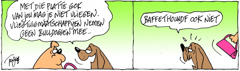 honden