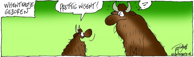 Wisent