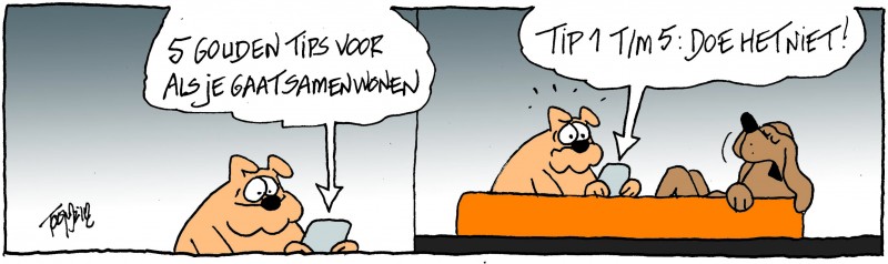 samenwonen