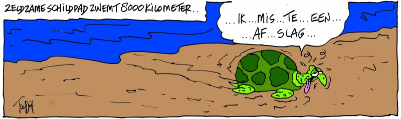 schildpad