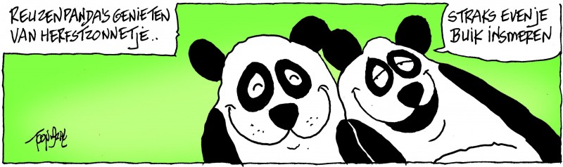 reuzenpandas