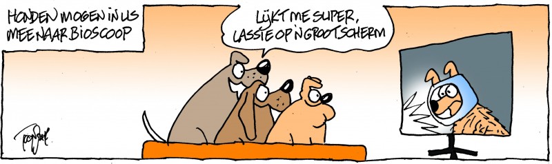 honden