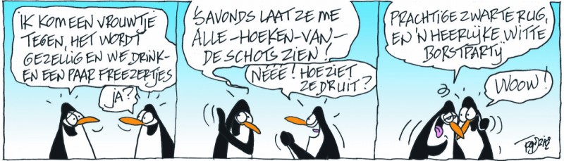 pinguins