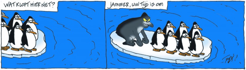 pinguins