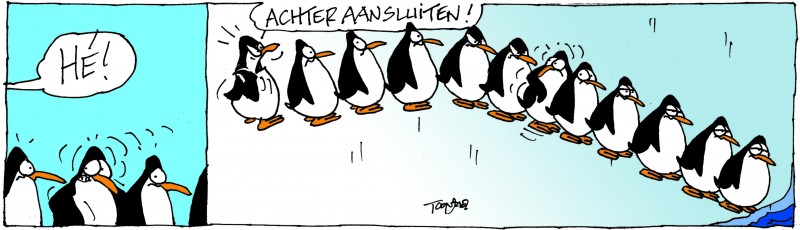 pinguins