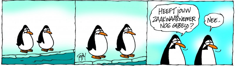 pinguins