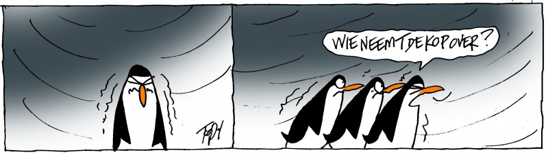 pinguins