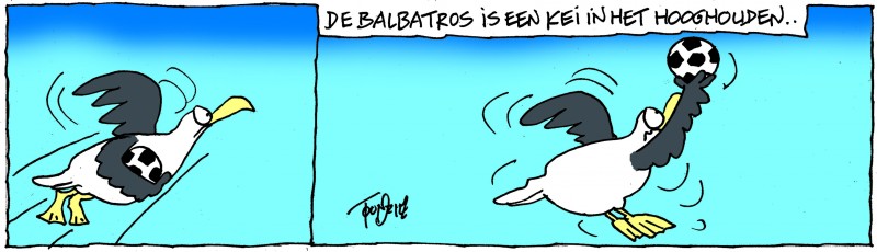 balbatros