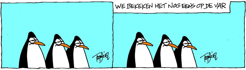 pinguins