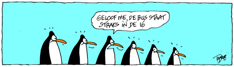 pinguins